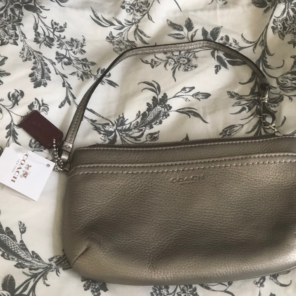 Coach leather pewter